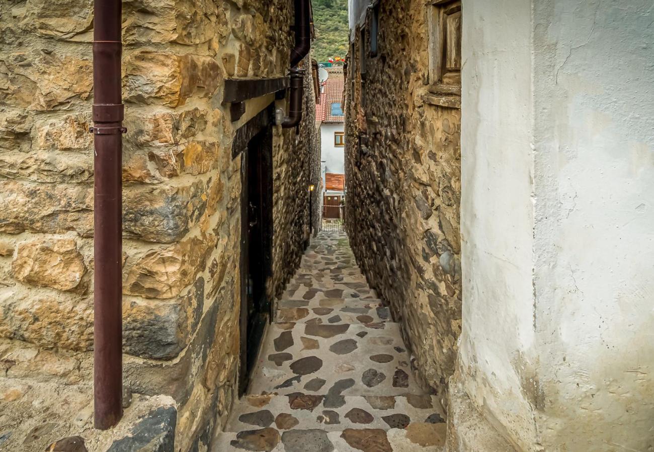Amplia casa rural de piedra en Potes Exterior foto